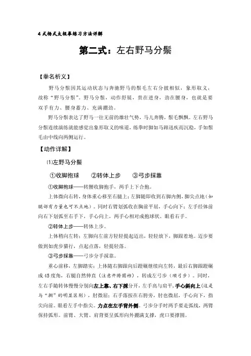 24式杨氏太极拳练习方法详解二