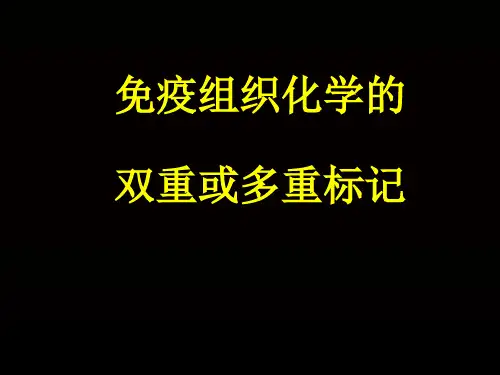 疫组织化学医学医药资料