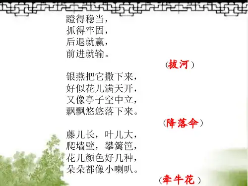 综合实践活动——猜字谜