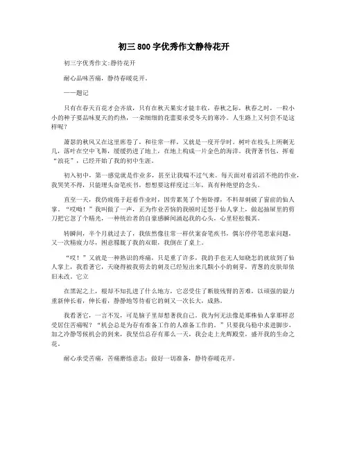 初三800字优秀作文静待花开