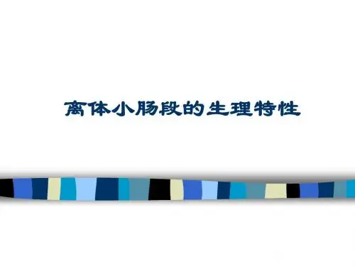 11离体小肠段的生理特性