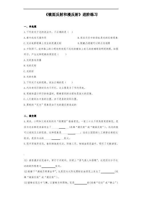 《镜面反射和漫反射》进阶练习(一)