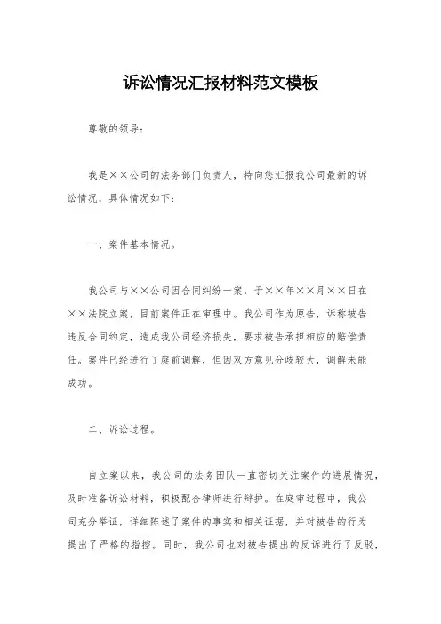诉讼情况汇报材料范文模板