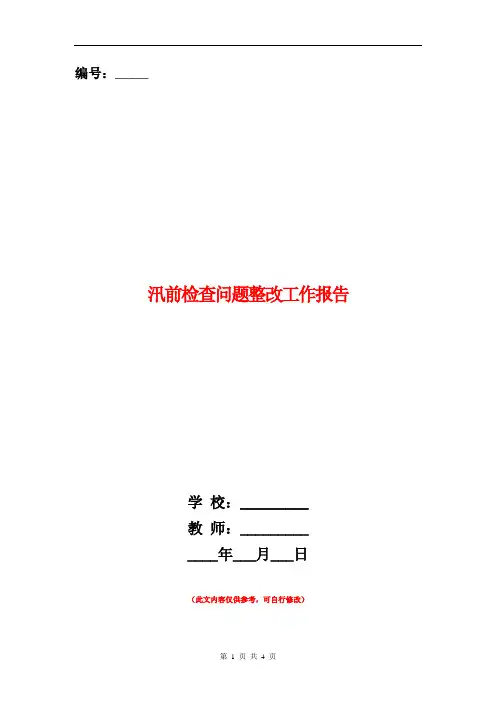 范本：汛前检查问题整改工作报告