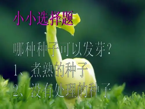 29、《手捧空花盆的孩子》