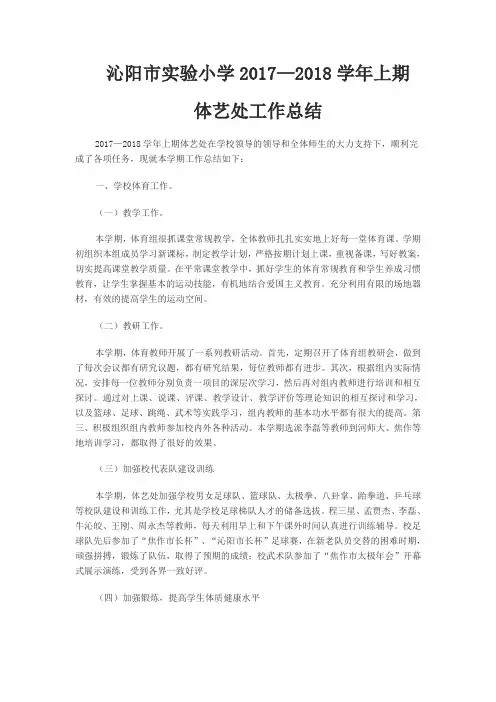 体艺处工作总结