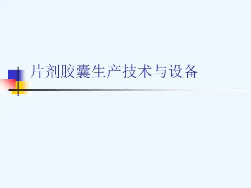 片剂胶囊生产技术与设备[可修改版ppt]