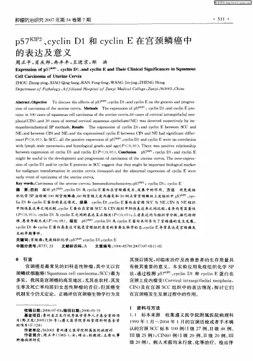 p57 KIP2、cyclin D1和cyclin E在宫颈鳞癌中的表达及意义