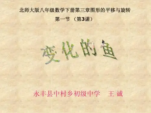 北师大版八年级数学下册第三章图形的平移与旋转第一节 (第3课)