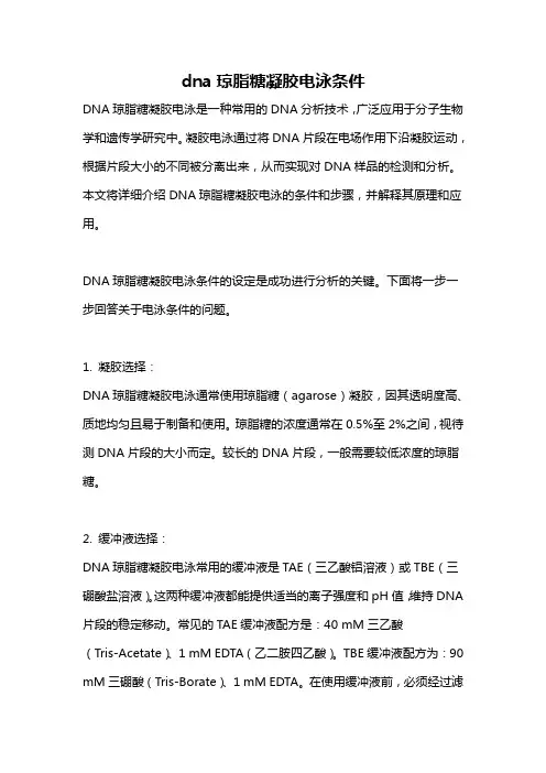 dna琼脂糖凝胶电泳条件