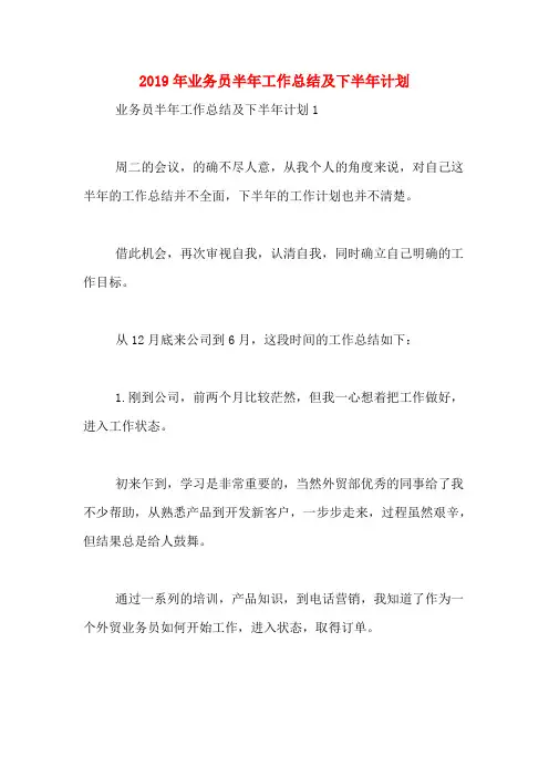 2019年业务员半年工作总结及下半年计划