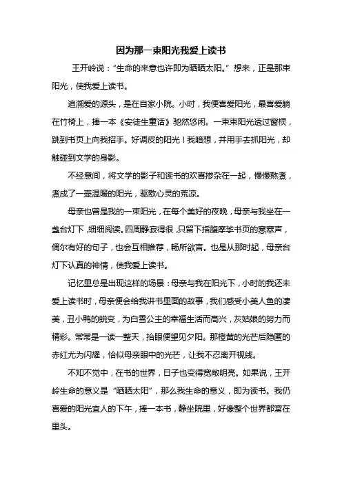 初三作文：因为那一束阳光我爱上读书作文500字
