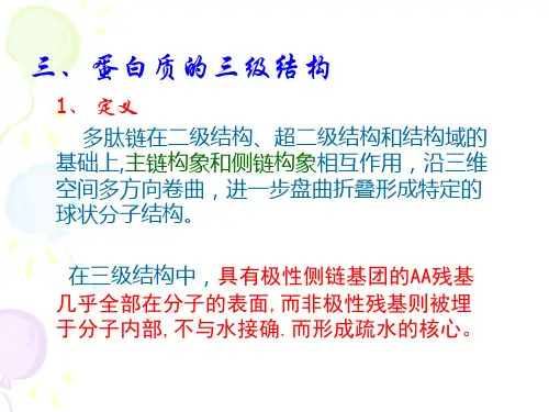 第三章-蛋白质结构