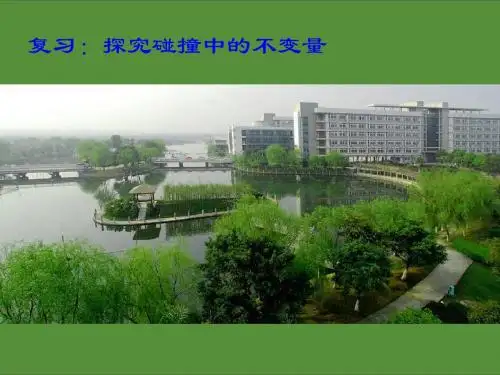 复习： 探究碰撞中的守恒量 三第一轮课件