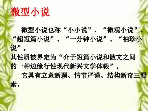微型小说阅读鉴赏.ppt