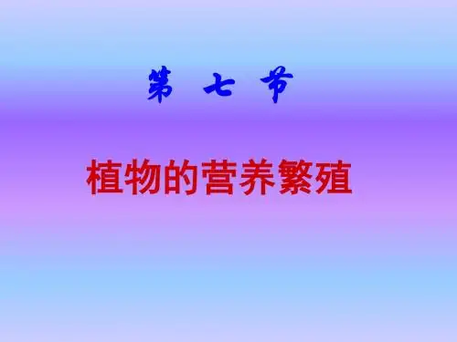 植物的无性生殖课件