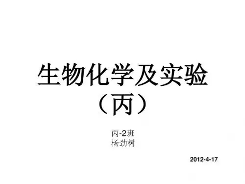 实验1-蔗糖酶的提取