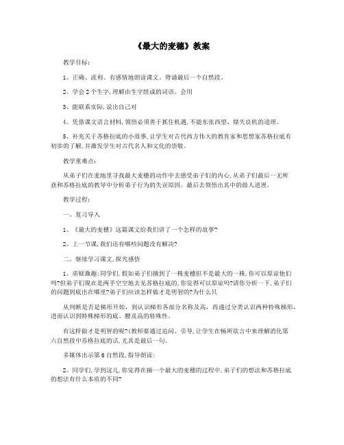 《最大的麦穗》教案