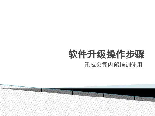 软件升级