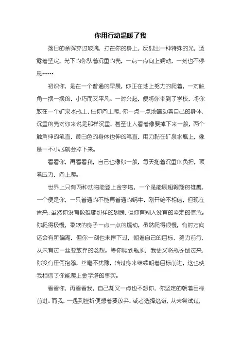 初三作文：你用行动温暖了我作文600字