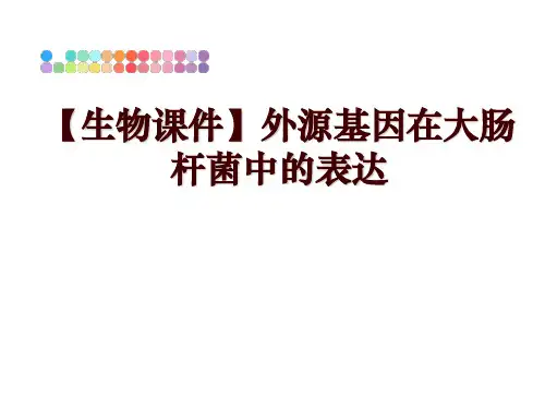最新【生物课件】外源基因在大肠杆菌中的表达ppt课件
