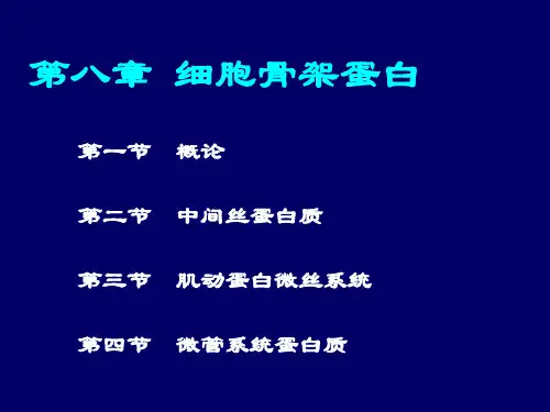 第八章 细胞骨架蛋白