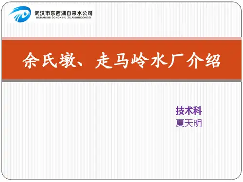 东西湖两水厂工艺介绍