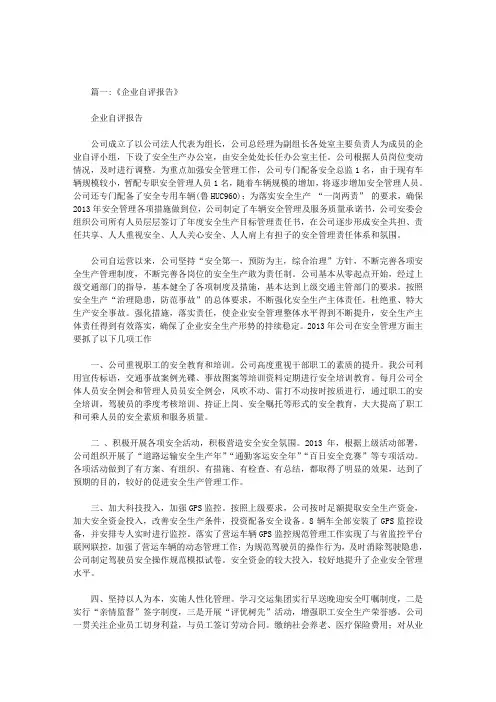 企业自评报告范文