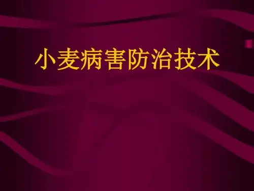 小麦病害防治技术