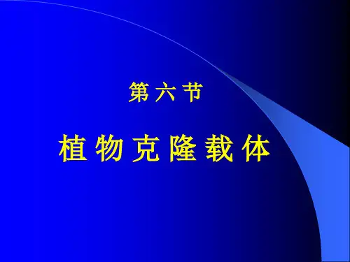 第六节植物克隆载体