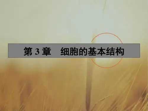 2017年高考生物一轮复习课件-必修一 第3章 细胞的基本