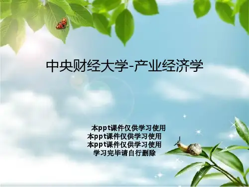 中央财经大学-产业经济学