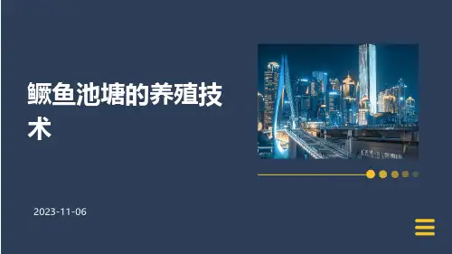 鳜鱼池塘的养殖技术