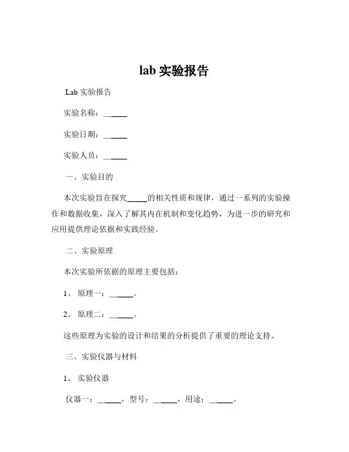 lab实验报告