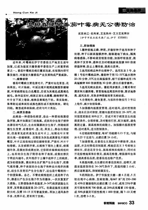 温棚春提早番茄叶霉病无公害防治