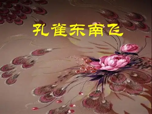 孔雀东南飞2