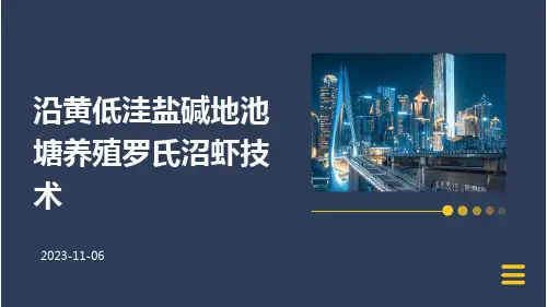 沿黄低洼盐碱地池塘养殖罗氏沼虾技术