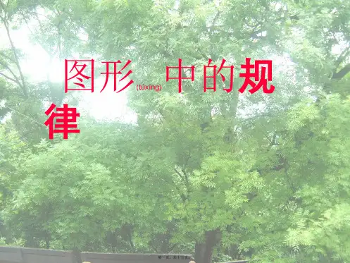 四年级数学下册 图形中的规律10课件