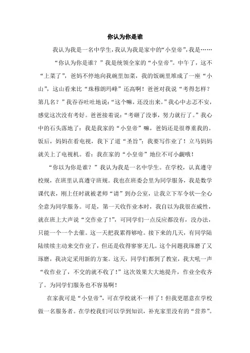 你认为你是谁