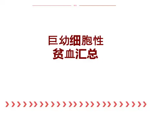 巨幼细胞性贫血汇总PPT课件