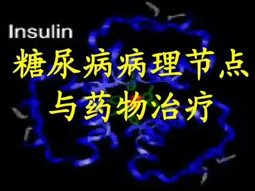 糖尿病病理节点与药物作用