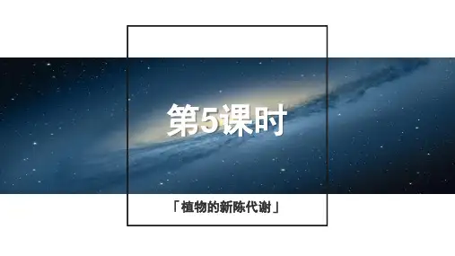 浙教版科学2015年中考复习《中考拐点》第5课时植物的新陈代谢课件
