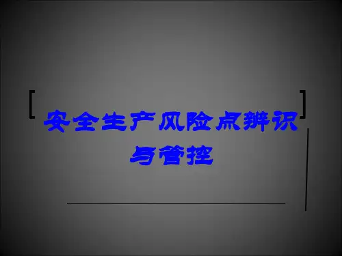 安全生产风险点辨识与管控