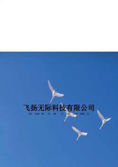 试谈企业战略方案设计