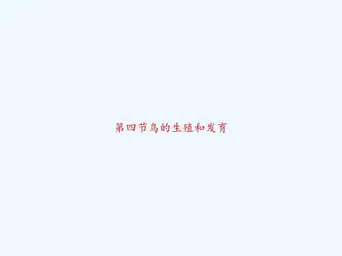 第四节鸟的生殖和发育 PPT