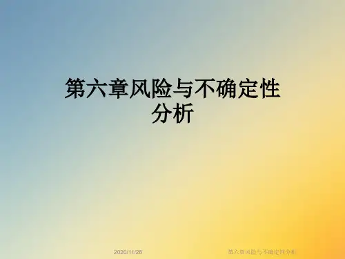 第六章风险与不确定性分析