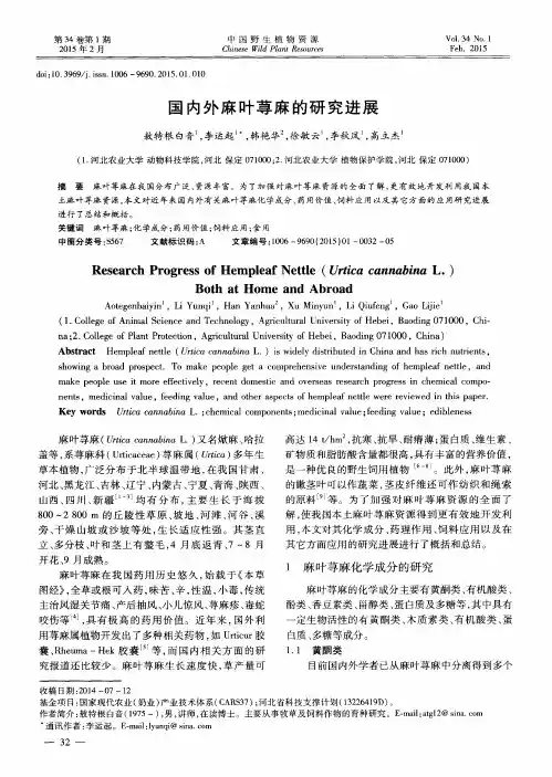 国内外麻叶荨麻的研究进展