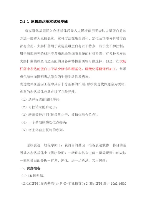 原核表达步骤