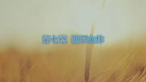 第七章  犯罪主体