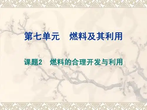 燃料和热量